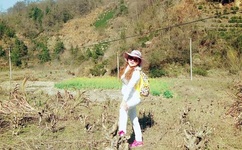 茄子 香草 草莓 丝瓜 榴莲污